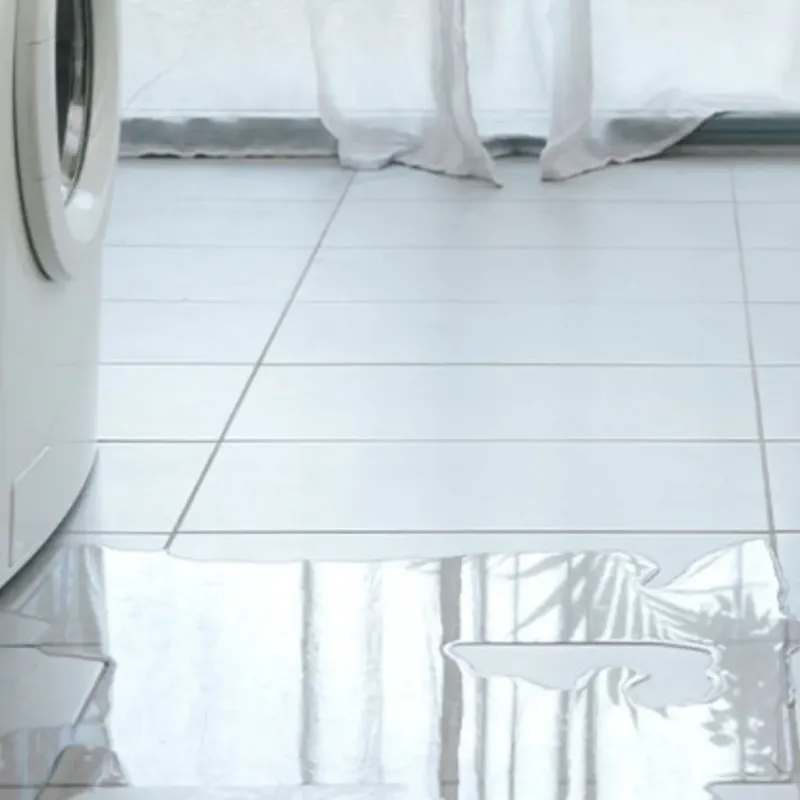 Appliance Leak Cleanup in Savannah, TN