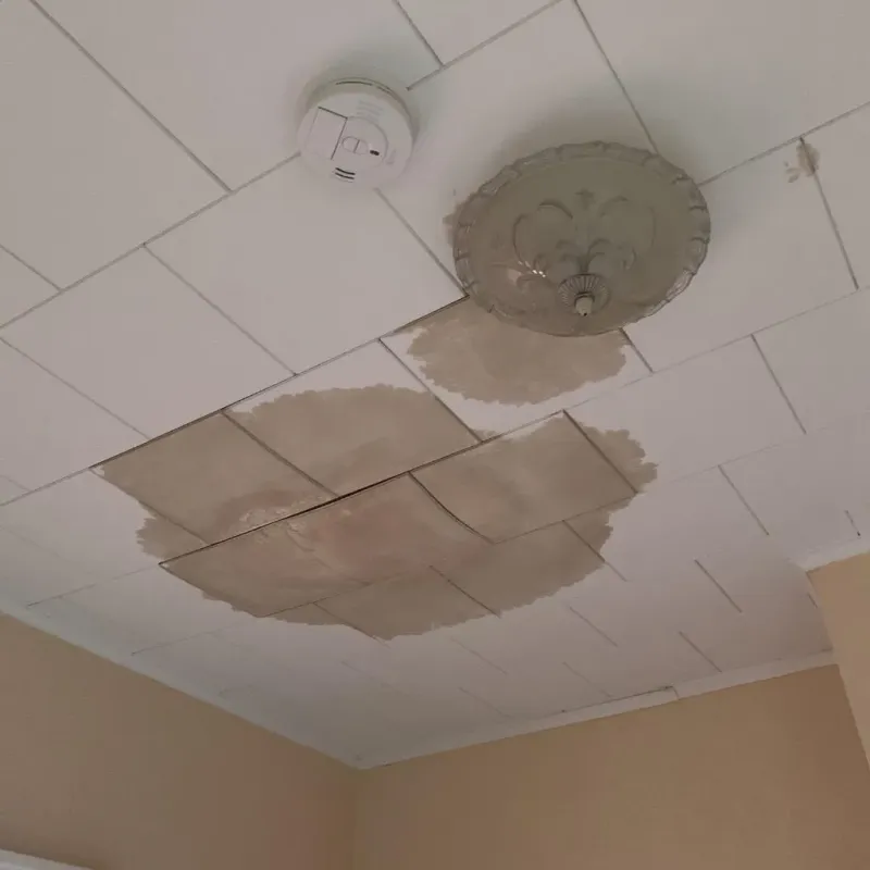 Ceiling Water Damage Repair in Savannah, TN