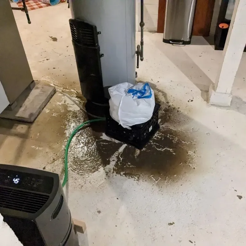 Sewage Backup Cleanup Service in Savannah, TN
